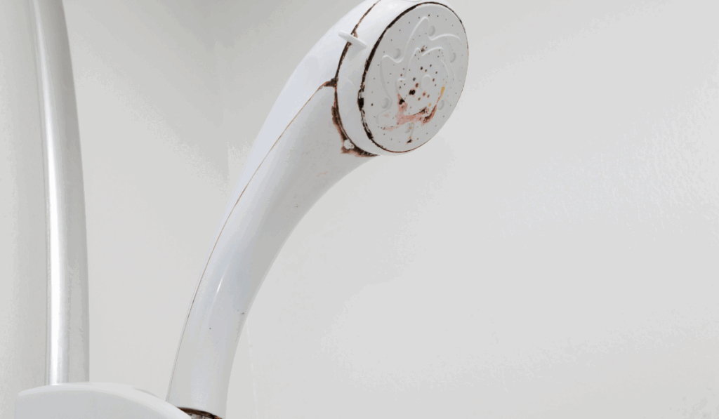 Clogged Showerhead