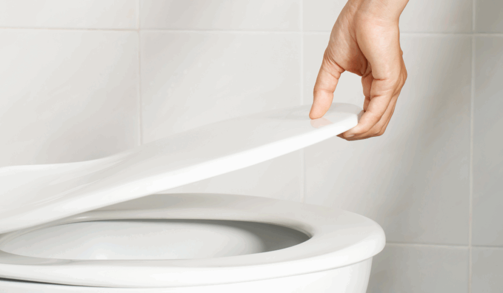 Wobbly Toilet Seat