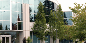 Redmond WA