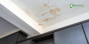 Ceiling Water Stains
