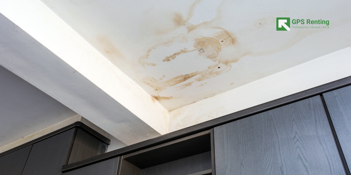 Ceiling Water Stains