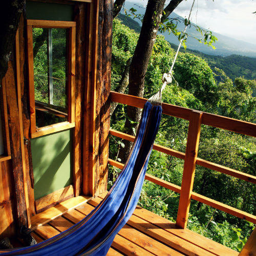 Tree House