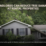 How Landlords Can Reduce Tree Damage Risk at Rental Properties