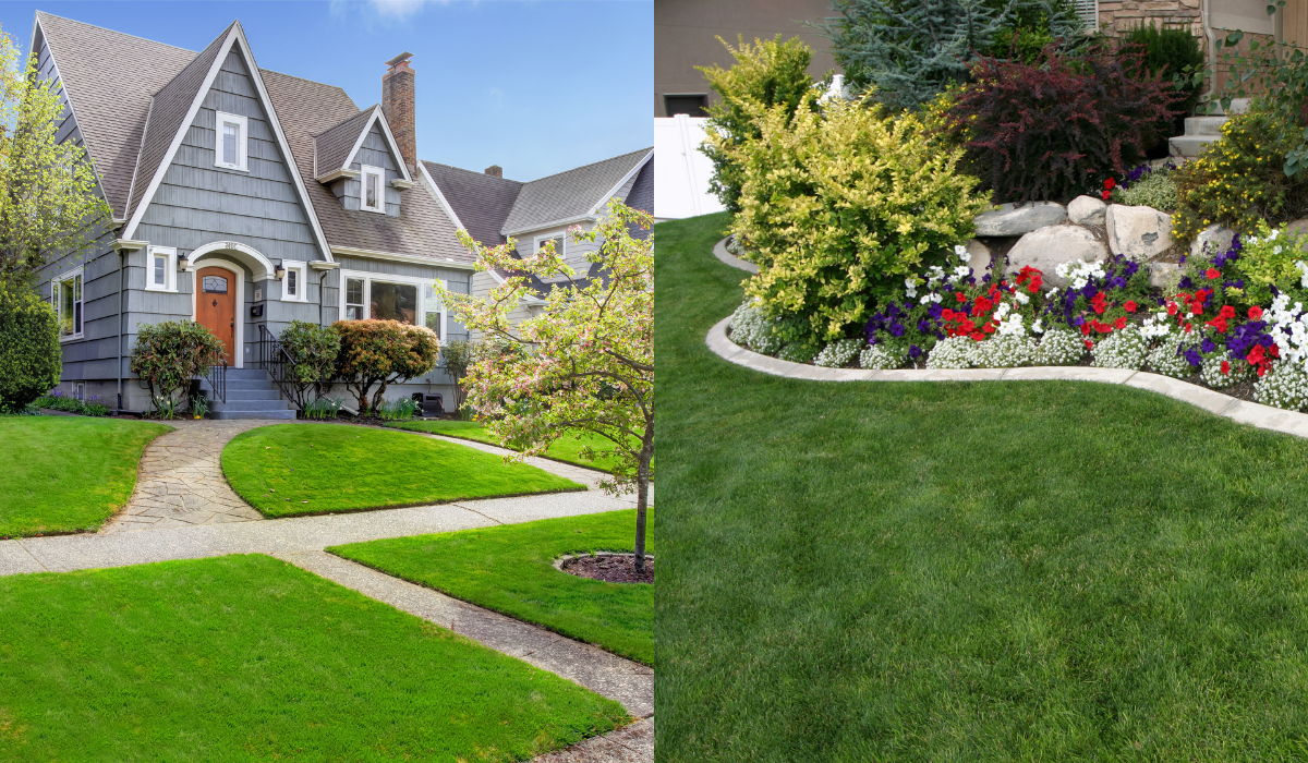 Landscaping and Curb Appeal​